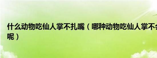 什么动物吃仙人掌不扎嘴（哪种动物吃仙人掌不会觉得扎嘴呢）