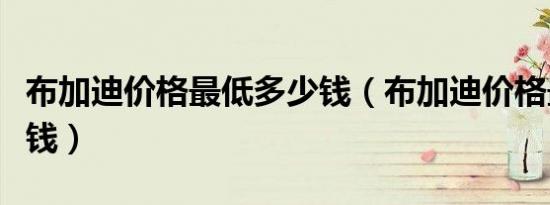 布加迪价格最低多少钱（布加迪价格最低多少钱）