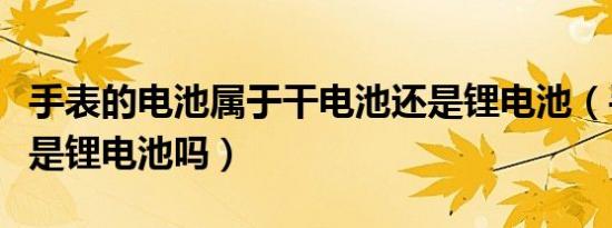 手表的电池属于干电池还是锂电池（手表电池是锂电池吗）