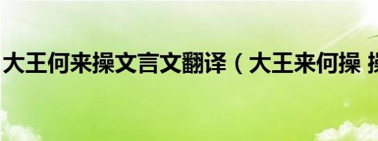 大王何来操文言文翻译（大王来何操 操翻译）