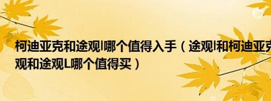 柯迪亚克和途观l哪个值得入手（途观l和柯迪亚克哪个好途观和途观L哪个值得买）