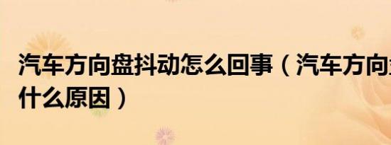 汽车方向盘抖动怎么回事（汽车方向盘抖动是什么原因）