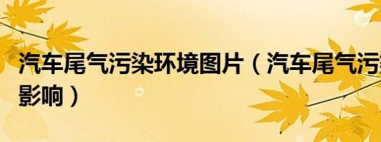 汽车尾气污染环境图片（汽车尾气污染环境的影响）