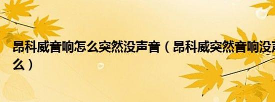 昂科威音响怎么突然没声音（昂科威突然音响没声音是为什么）