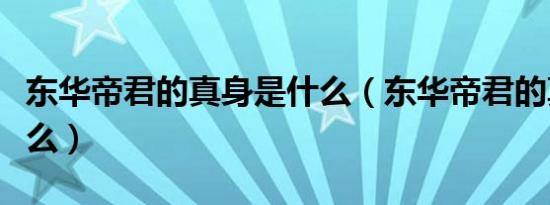 东华帝君的真身是什么（东华帝君的真身是什么）