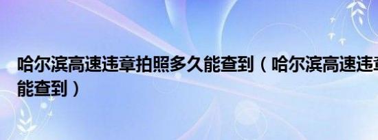 哈尔滨高速违章拍照多久能查到（哈尔滨高速违章查询几天能查到）