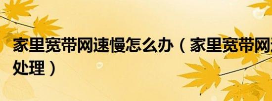 家里宽带网速慢怎么办（家里宽带网速慢如何处理）