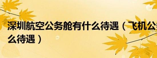 深圳航空公务舱有什么待遇（飞机公务舱有什么待遇）