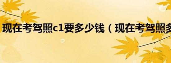现在考驾照c1要多少钱（现在考驾照多少钱）