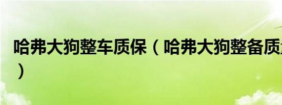 哈弗大狗整车质保（哈弗大狗整备质量是多少）