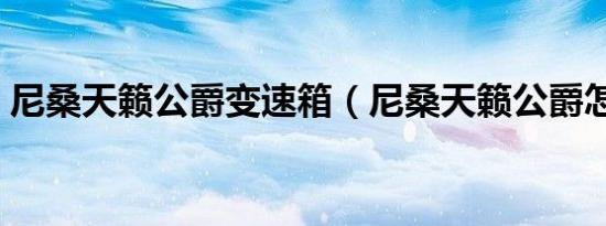 尼桑天籁公爵变速箱（尼桑天籁公爵怎么样）