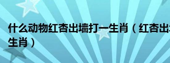 什么动物红杏出墙打一生肖（红杏出墙是哪个生肖）