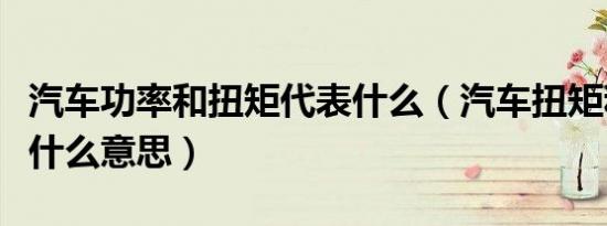 汽车功率和扭矩代表什么（汽车扭矩和功率是什么意思）