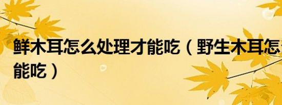 鲜木耳怎么处理才能吃（野生木耳怎么处理才能吃）