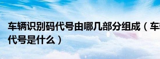 车辆识别码代号由哪几部分组成（车辆识别码代号是什么）