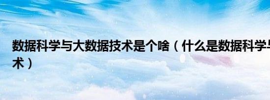 数据科学与大数据技术是个啥（什么是数据科学与大数据技术）