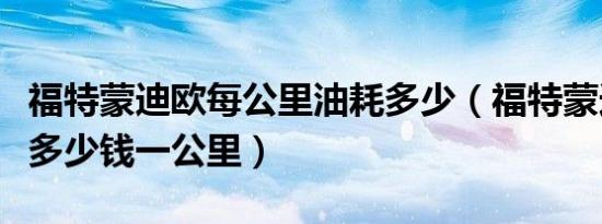 福特蒙迪欧每公里油耗多少（福特蒙迪欧油耗多少钱一公里）