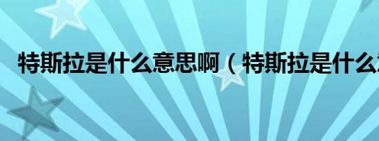 特斯拉是什么意思啊（特斯拉是什么意思）