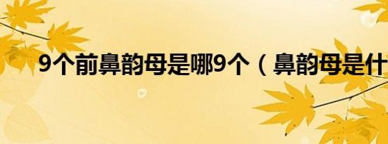 9个前鼻韵母是哪9个（鼻韵母是什么）