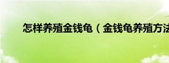 怎样养殖金钱龟（金钱龟养殖方法）