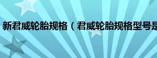 新君威轮胎规格（君威轮胎规格型号是什么）