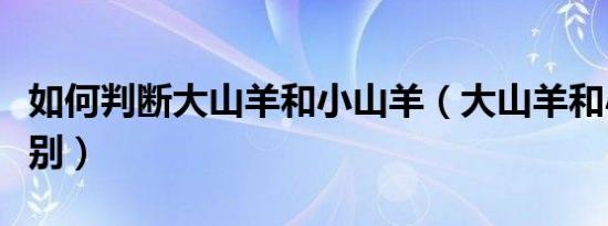 如何判断大山羊和小山羊（大山羊和小山羊区别）