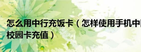 怎么用中行充饭卡（怎样使用手机中国银行给校园卡充值）