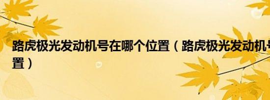 路虎极光发动机号在哪个位置（路虎极光发动机号在哪个位置）