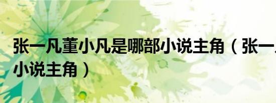 张一凡董小凡是哪部小说主角（张一凡是哪部小说主角）