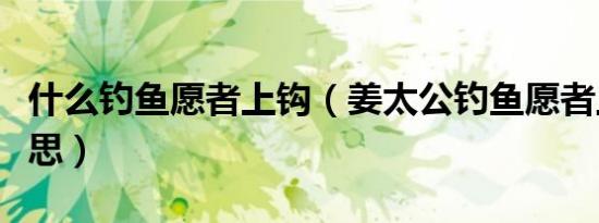 什么钓鱼愿者上钩（姜太公钓鱼愿者上钩的意思）