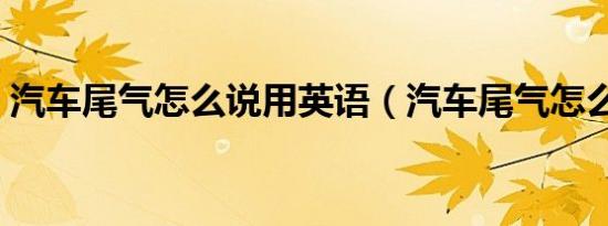 汽车尾气怎么说用英语（汽车尾气怎么检测）