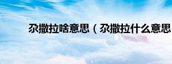 尕撒拉啥意思（尕撒拉什么意思）