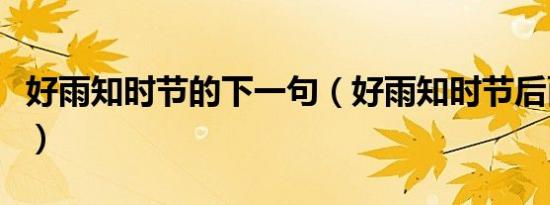 好雨知时节的下一句（好雨知时节后面是什么）