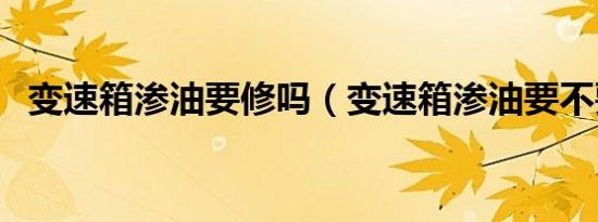 变速箱渗油要修吗（变速箱渗油要不要修）