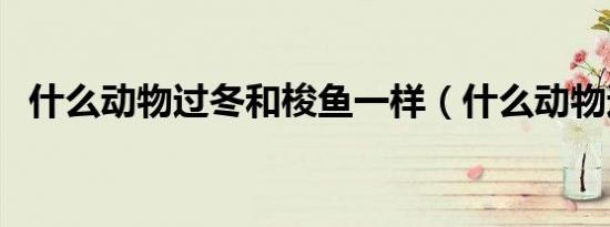 什么动物过冬和梭鱼一样（什么动物过冬）