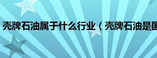 壳牌石油属于什么行业（壳牌石油是国企吗）