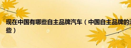 现在中国有哪些自主品牌汽车（中国自主品牌的汽车都有哪些）