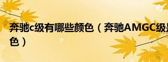 奔驰c级有哪些颜色（奔驰AMGC级是什么颜色）