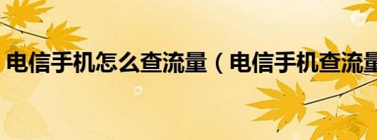 电信手机怎么查流量（电信手机查流量方法）