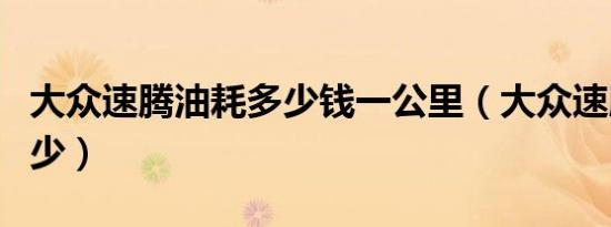 大众速腾油耗多少钱一公里（大众速腾油耗多少）