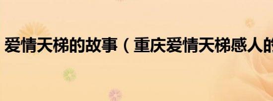 爱情天梯的故事（重庆爱情天梯感人的故事）