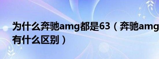 为什么奔驰amg都是63（奔驰amg43和63有什么区别）