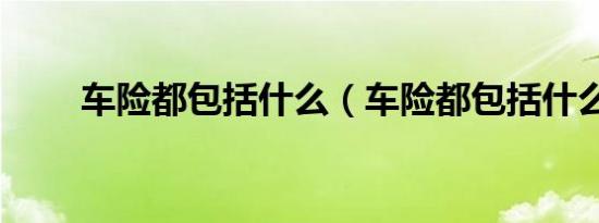 车险都包括什么（车险都包括什么）