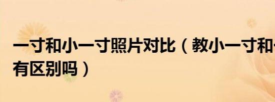 一寸和小一寸照片对比（教小一寸和一寸照片有区别吗）