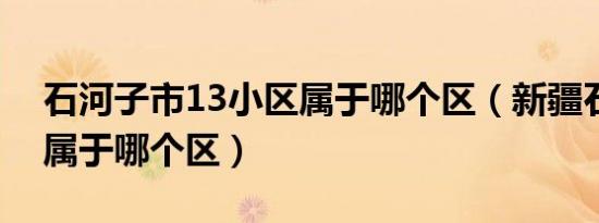 石河子市13小区属于哪个区（新疆石河子市属于哪个区）