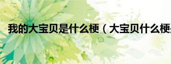 我的大宝贝是什么梗（大宝贝什么梗是谁）