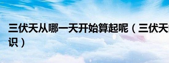 三伏天从哪一天开始算起呢（三伏天的相关知识）