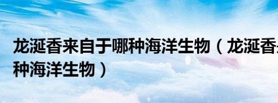 龙涎香来自于哪种海洋生物（龙涎香是来自哪种海洋生物）