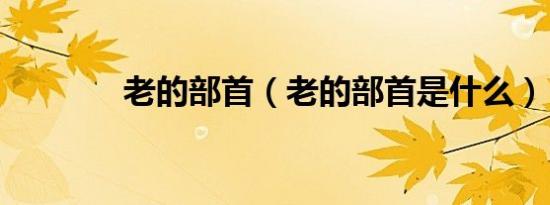 老的部首（老的部首是什么）