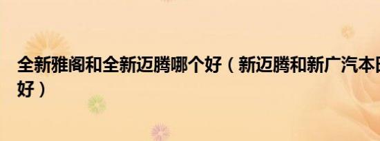 全新雅阁和全新迈腾哪个好（新迈腾和新广汽本田雅阁哪个好）